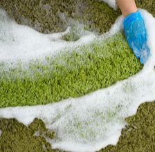 Halı Yıkama Firmamız